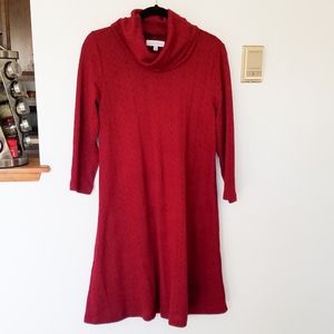 NWOT Turtleneck Sweater Dress